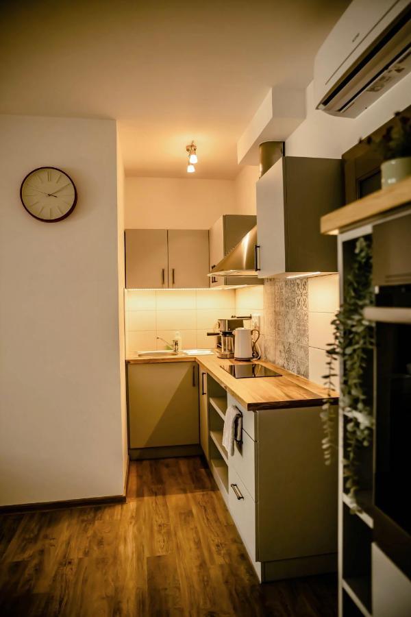 Podkrovni Studio Na Velkem Namesti S Wi-Fi Zdarma Hradec Králové 外观 照片