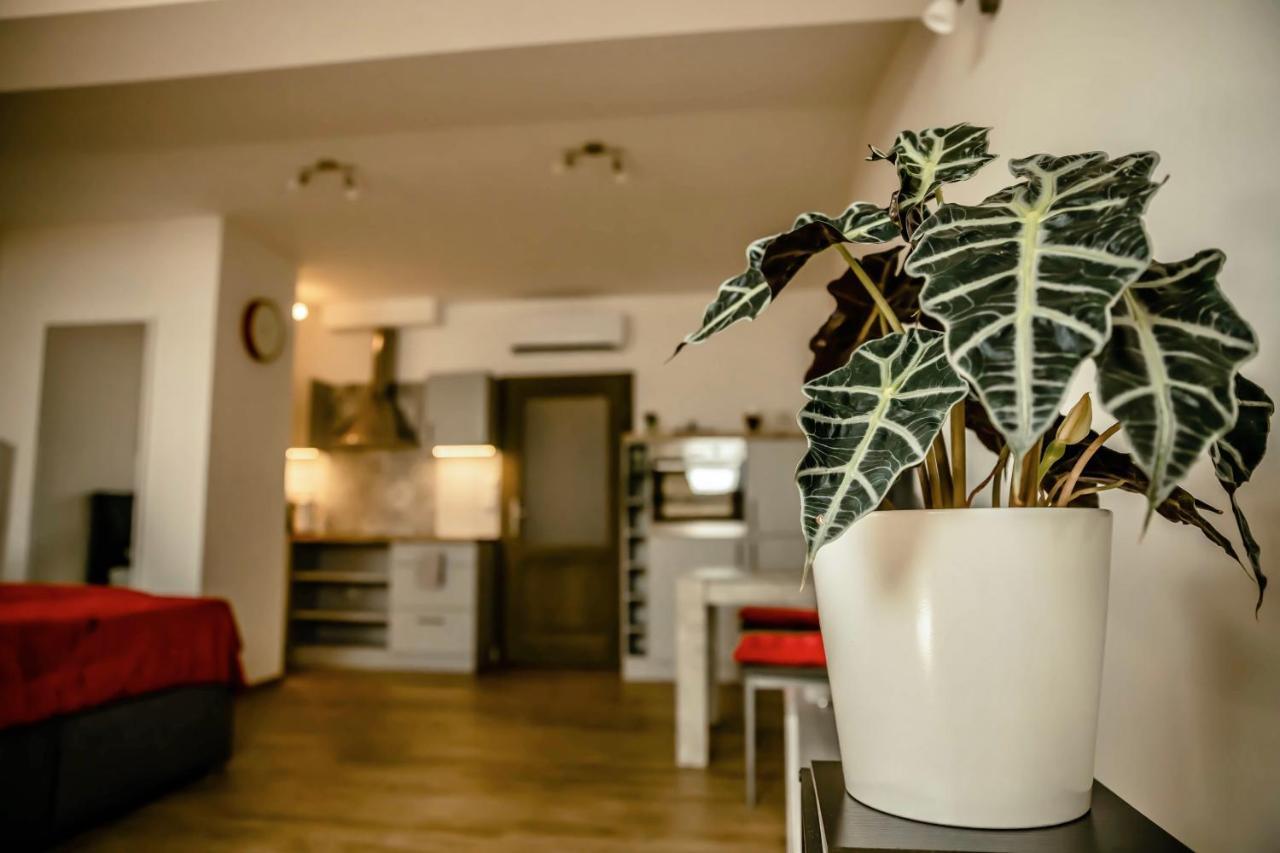Podkrovni Studio Na Velkem Namesti S Wi-Fi Zdarma Hradec Králové 外观 照片